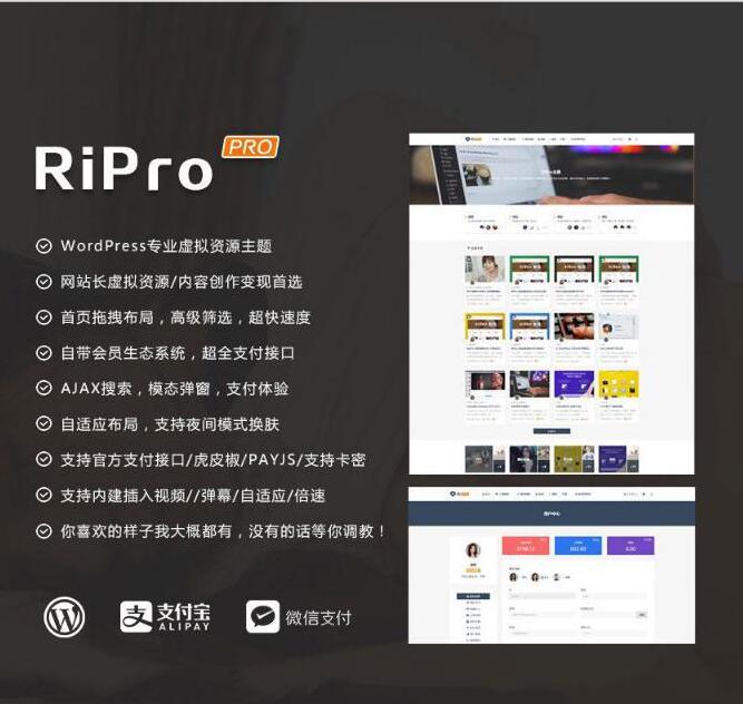 图片[1]-最新WP+RiPro主题PJ版 功能强大-淘源码网