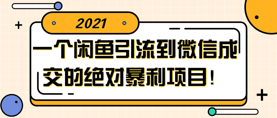 闲鱼引流到微信成交的绝对暴利项目！【视频教程】-淘源码网